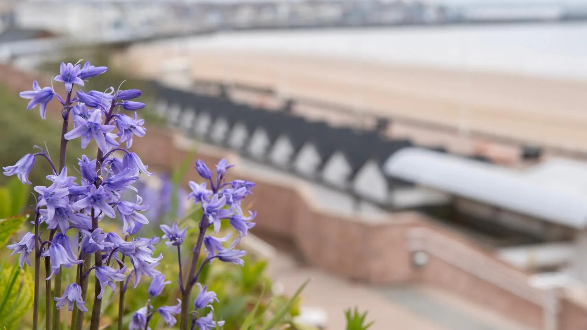 Gæstehus The Seacourt Hotel Bridlington Storbritannien